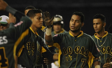 Valentino Arce lidera a los bateadores en el béisbol mayor
