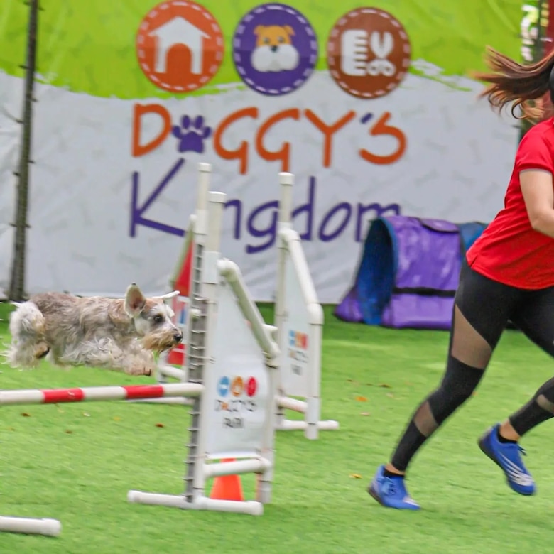 El auge del ‘agility’