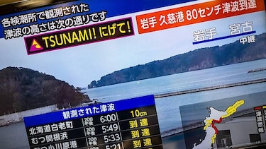 Hiroo Kanamori, el científico japonés que creó la escala que reemplazó a la de Richter (y por qué es mejor para medir terremotos de gran magnitud)