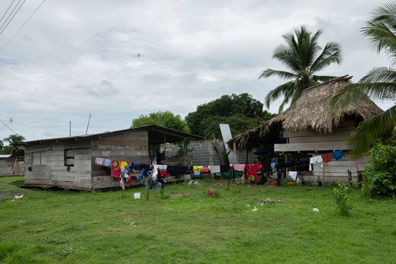 Arimae: La furia en tierras colectivas