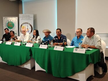 Cámara Minera pide al gobierno tomar medidas para restablecer el empleo en el sector