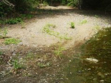 Toleta, el río más seco de la península de Azuero