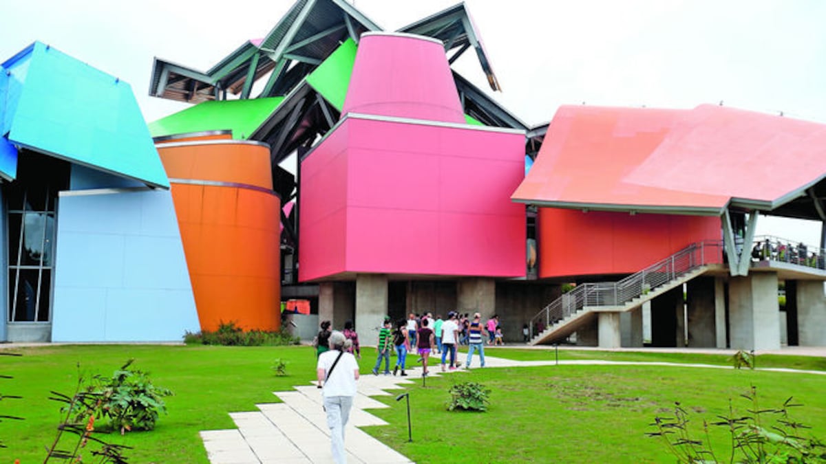 El Biomuseo desarrolla un programa formativo con charlas y talleres durante todo el año.