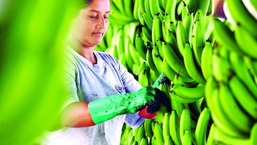 Ecuador tiene acuerdo con UE