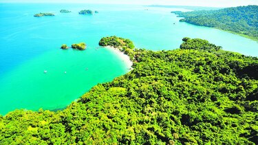 Panamá protege 13.5% de superficie marina