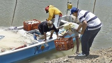 Reclaman conclusión de muelle flotante