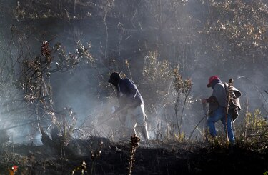 Una treintena de incendios forestales activos en nueve departamentos de Colombia