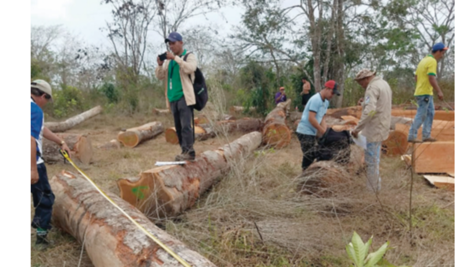 Desaparece madera retenida en la comarca de Madugandí