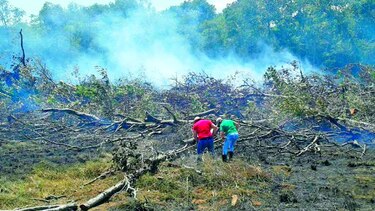 Presentan denuncia por incendio en Matusagaratí