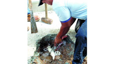 El Idaan busca recuperar deuda de $75 millones