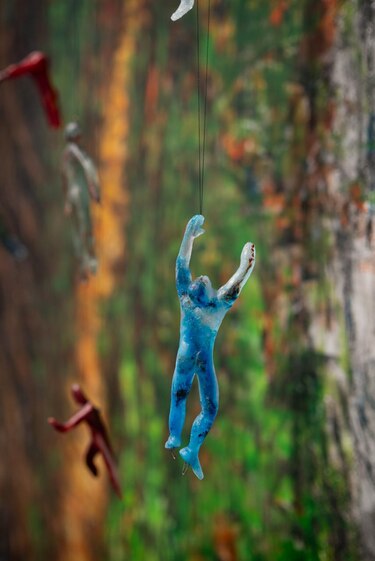 La selva del Darién llega a París: Panamá inaugura impactante exposición