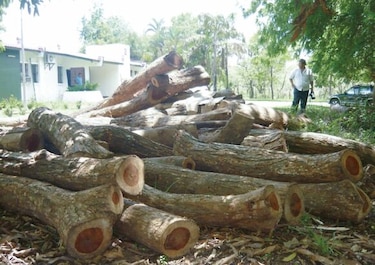 Diputado Alfredo Fello Pérez, sus nexos y procesos penales