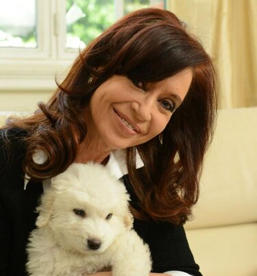 Cristina Fernández recibirá el 'aroma de Uruguay' como regalo de Navidad