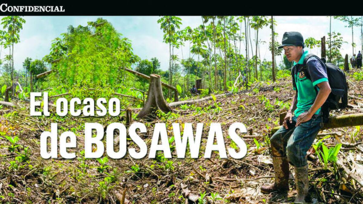Algunas de las imágenes del fotógrafo Carlos Herrera sobre el impacto del tráfico de tierras en la reserva natural. Tomadas de www.confidencial.com.ni