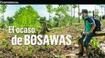 Intereses detrás del daño ambiental