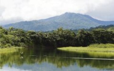 Majé perdió 6 mil 412 hectáreas de bosques