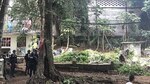 Miviot y alcaldesa encargada de Panamá se enfrentan por tala de árboles en Brooklincito