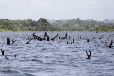 La sequía disparó este año las alarmas en el Canal de Panamá; este viernes habían 75 naves en espera por pasar