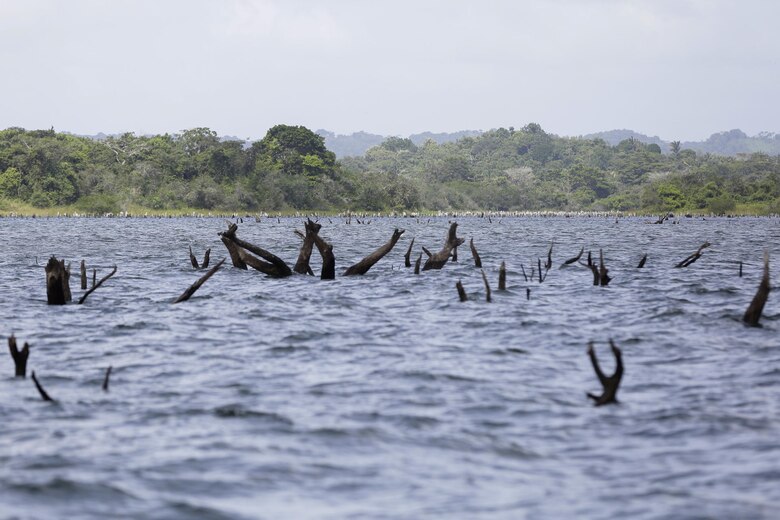 La sequía disparó este año las alarmas en el Canal de Panamá; este viernes habían 75 naves en espera por pasar