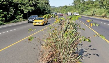 Corredor de las playas queda en manos de FCC