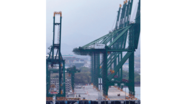 ¿Qué hay detrás del ‘camarón legislativo?