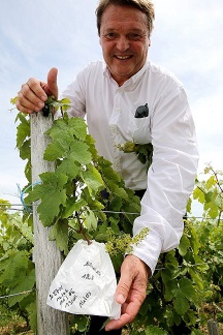 El champán se prepara para sobrevivir al cambio climático