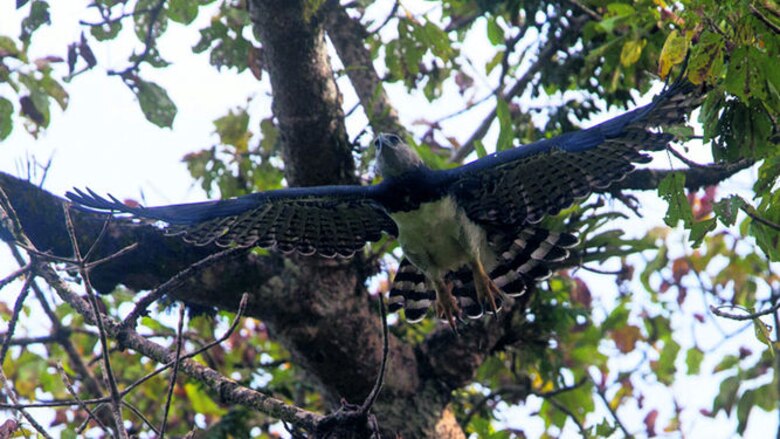 Con los ojos en el cielo