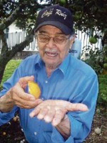 Agronoticias Mosca del mediterráneo causa daños en Chiriquí