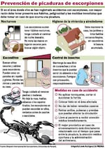 El manejo del escorpionismo