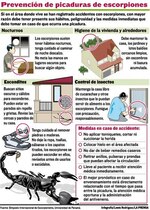 El manejo del escorpionismo