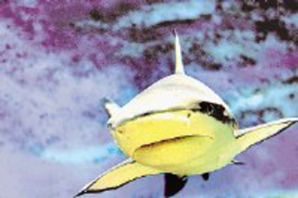 Peligro en aguas de Buzios