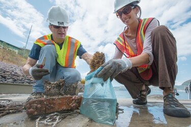 Proteja a los depredadores y estará salvando a los océanos