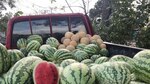 No todo el que deambula está perdido