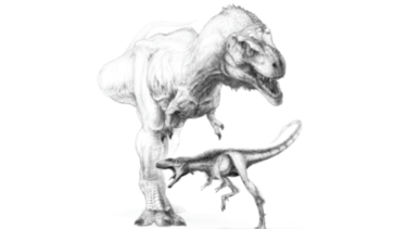 T–Rex enanos no habrían existido