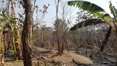 Hombre muere calcinado en Antón