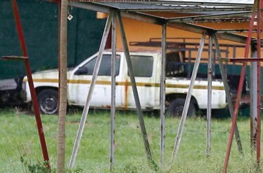 El ‘Gato Brujo’ volverá a rugir