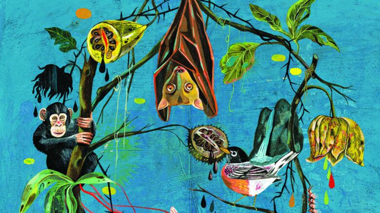 Insectos vectores de enfermedades infecciosas