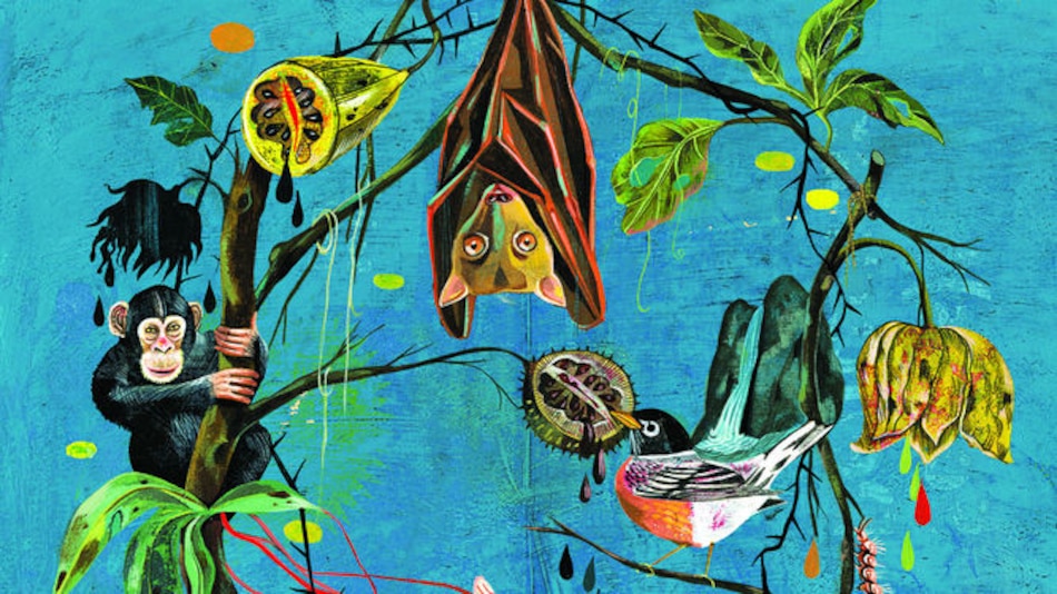 Insectos vectores de enfermedades infecciosas