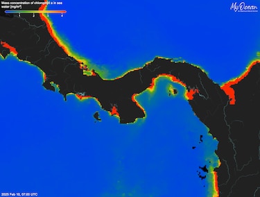 Golfo de Panamá no registra afloramiento marino por primera vez en 40 años, según el STRI