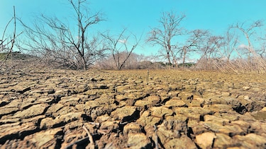 El año 2016 podría ser el más cálido