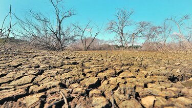 El año 2016 podría ser el más cálido