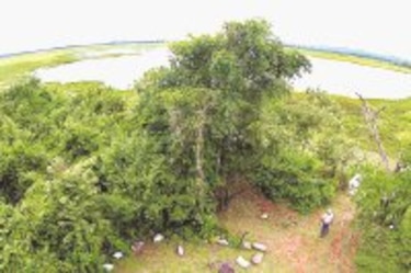Ciénega de Las Macanas