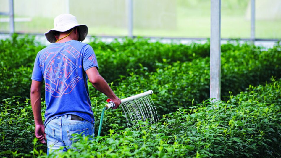 La naranja, un negocio jugoso