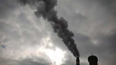 Salud pública estará en riesgo si hay menos plantas y animales