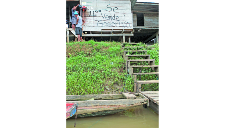 Vida que emerge del río