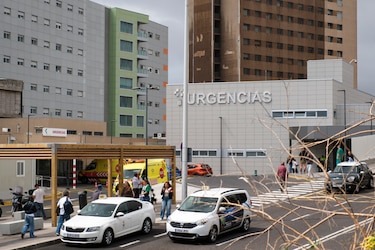 Buscan a un francés por contacto con hantavirus mientras Países Bajos recibe a evacuados críticos