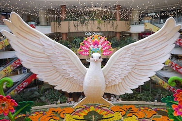 Una paloma gigante adorna a Medellín en el tapete de flores naturales más grande del mundo
