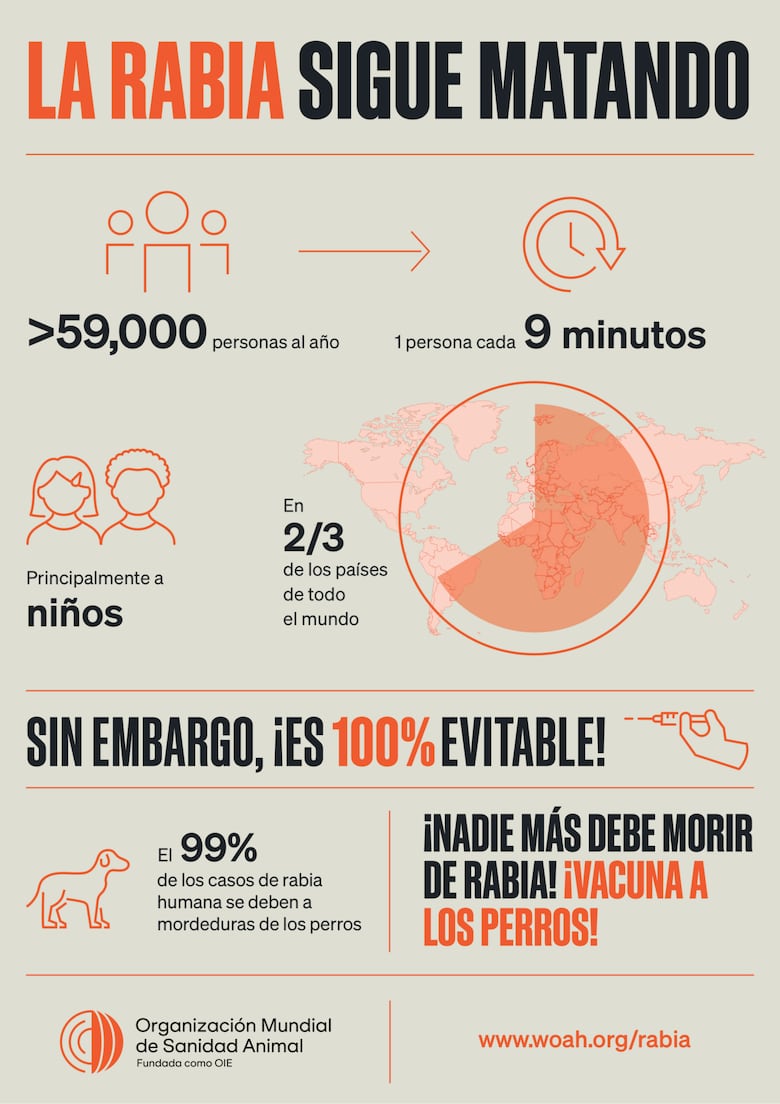 Detectan caso de rabia silvestre en Los Santos: ¿qué es y cómo se combate?