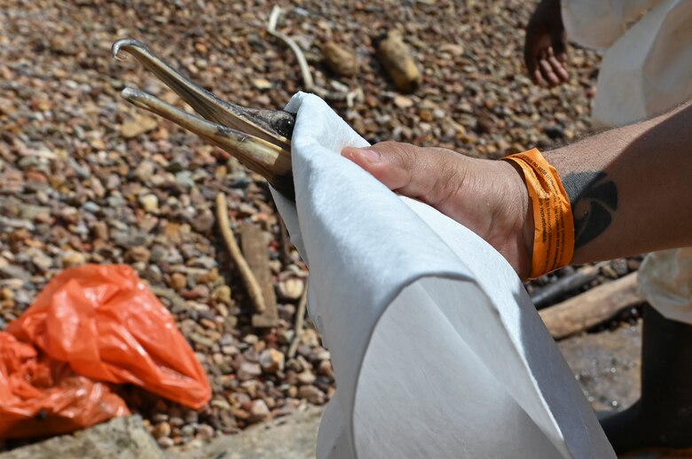 AMP empieza a recopilar evidencias para dar con los responsables de contaminación en Taboga