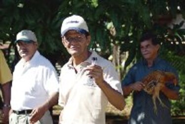 Descartan gripe aviar en muerte de gallinas